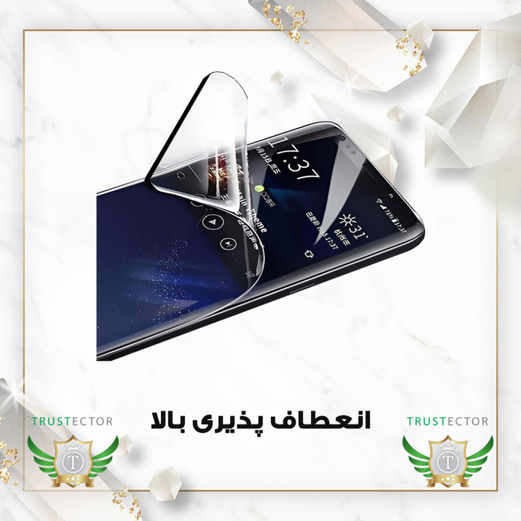 محافظ صفحه نمایش تراستکتور مدل NPOT مناسب برای گوشی موبایل سامسونگ Galaxy S20 Plus