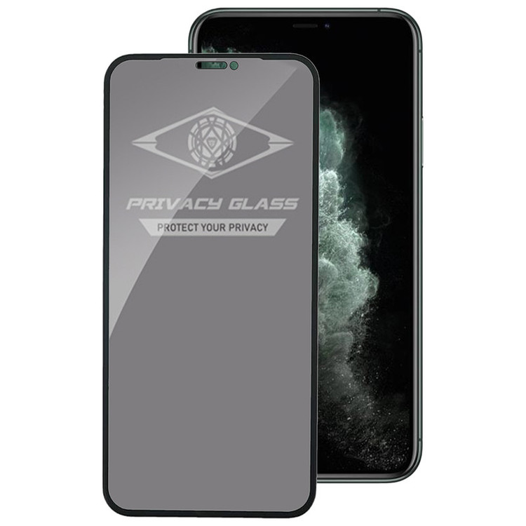 محافظ صفحه نمایش حریم شخصی اپیکوی مدل PvSight مناسب برای گوشی موبایل اپل iPhone 11 Pro / XS / X
