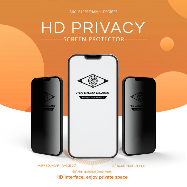 محافظ صفحه نمایش حریم شخصی اپیکوی مدل PvSight مناسب برای گوشی موبایل اپل iPhone 11 Pro / XS / X