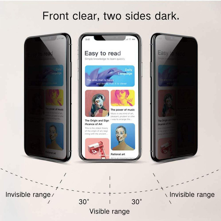 محافظ صفحه نمایش حریم شخصی اپیکوی مدل PvSight مناسب برای گوشی موبایل اپل iPhone 11 Pro / XS / X
