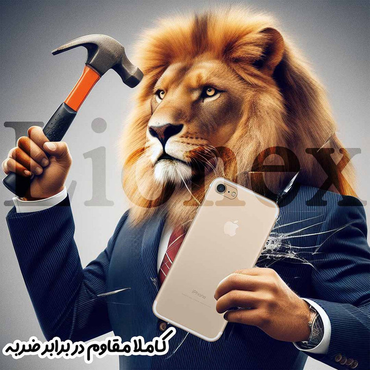 محافظ پشت گوشی لایونکس مدل TPBL20 مناسب برای گوشی موبایل شیائومی Poco X6