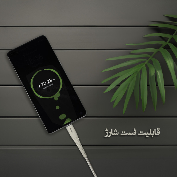 کابل تبدیل USB به USB-C بیاند مدل BUC-301 FAST CHARGE طول 1 متر بسته ده عددی