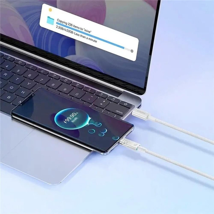کابل USB-C بیسوس مدل Explorer Series 100W CB000043 طول 2 متر