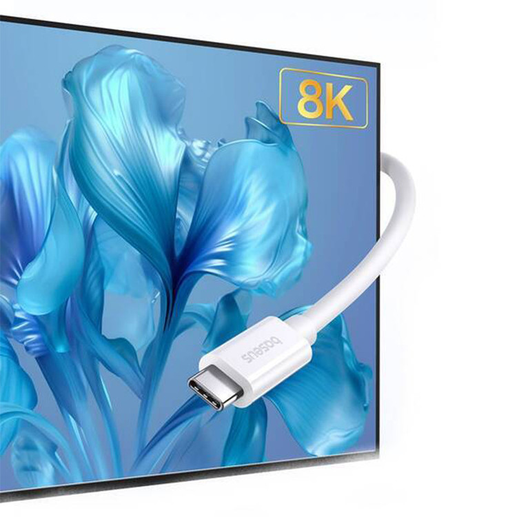 کابل USB-C بیسوس مدل Superior Series 2 240W طول 1 متر