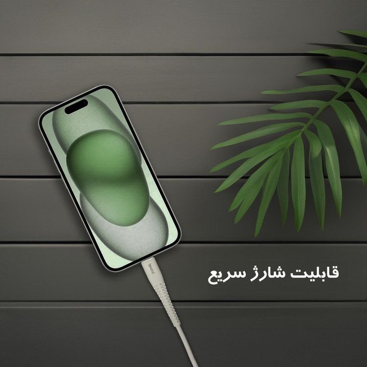 کابل تبدیل USB به لایتنینگ بیاند مدل BUL-302LT CHARGE DATA طول 2متر بسته 10 عددی