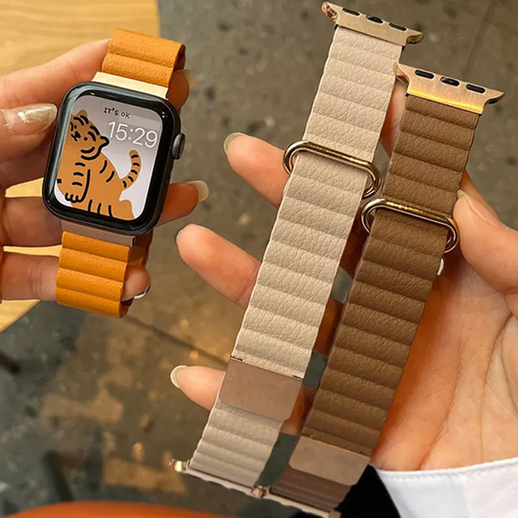 بند مسیر مدل Eraysun Magnetic Leather مناسب برای اپل واچ سری 10 سایز 46 میلی متری