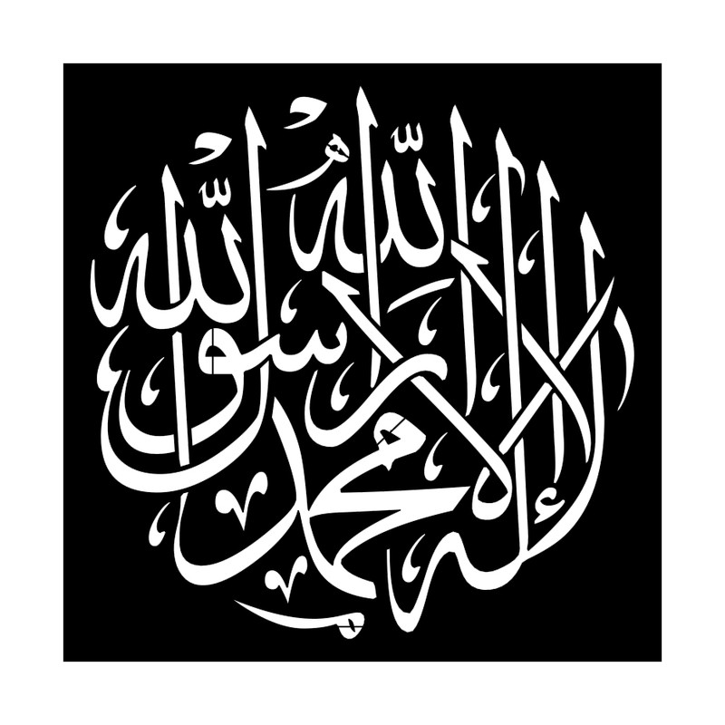 شابلون کد SP11