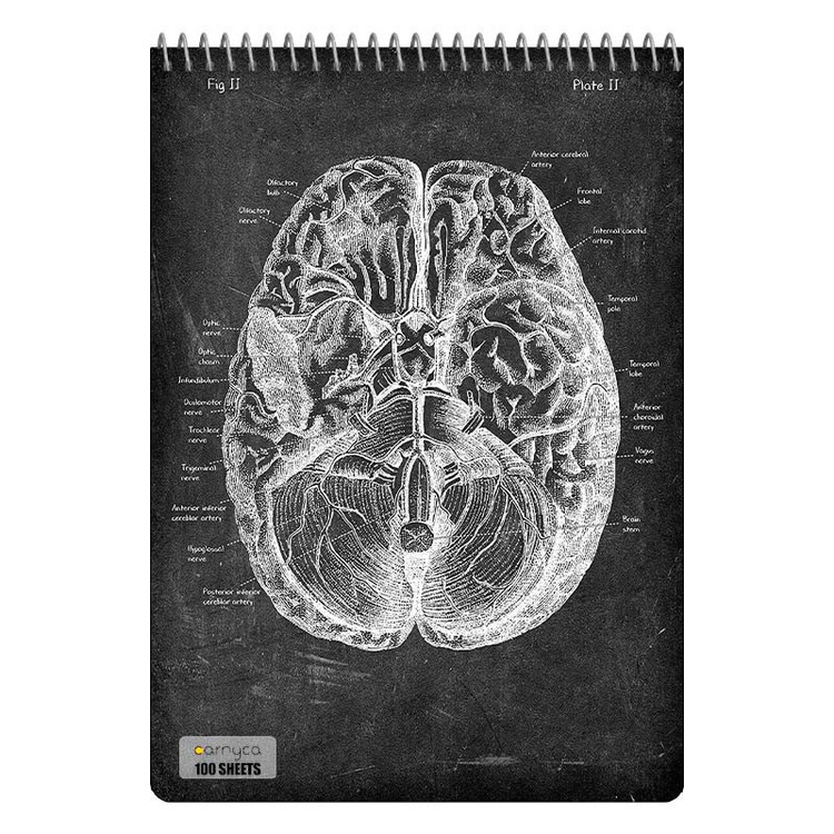 دفتر شطرنجی 100 برگ کارنیکا طرح روزنامه وینتج آناتومی بدن Vintage Newspaper Anatomy کد 72188