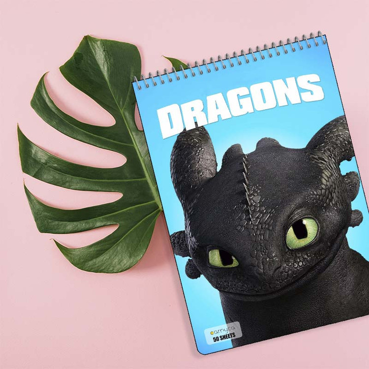 دفتر نقاشی 50 برگ سیمی کارنیکا طرح چگونه اژدهای خود را تربیت کنیم How to Train Your Dragon کد 40214