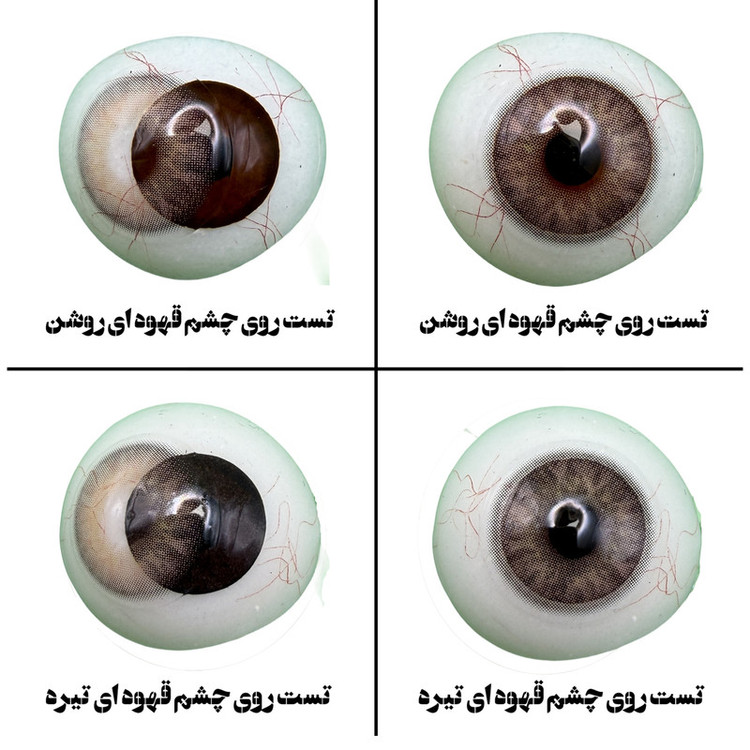 لنز چشم رز مدل ALIS رنگ قهوه ای عسلی رگه ای با دور ظریف