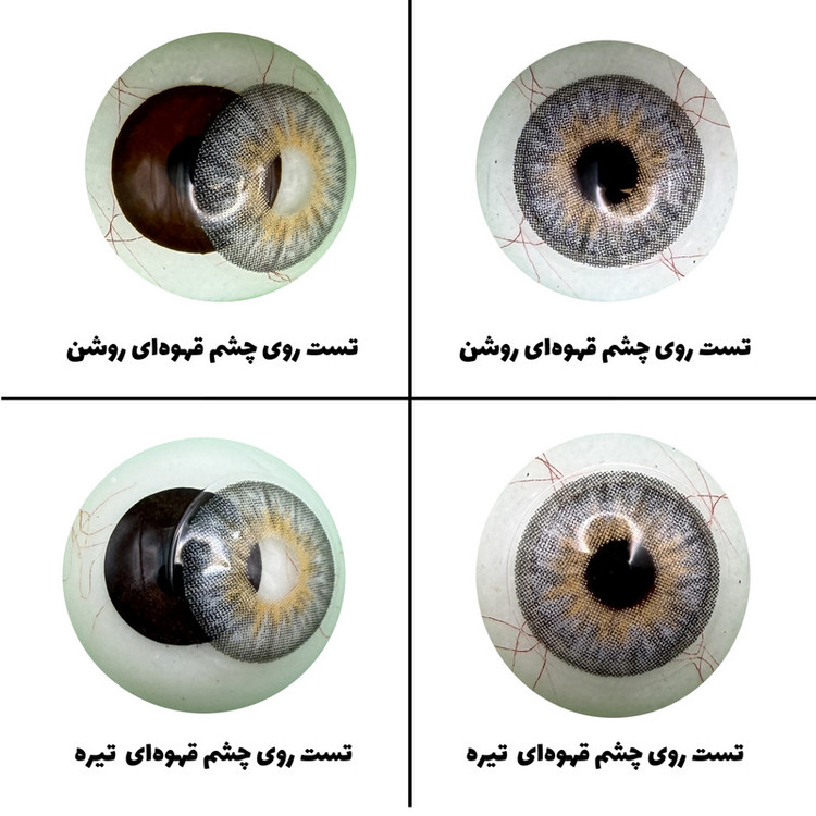لنز چشم رویال ویژن مدل PLATINIUM کد 33 رنگ طوسی