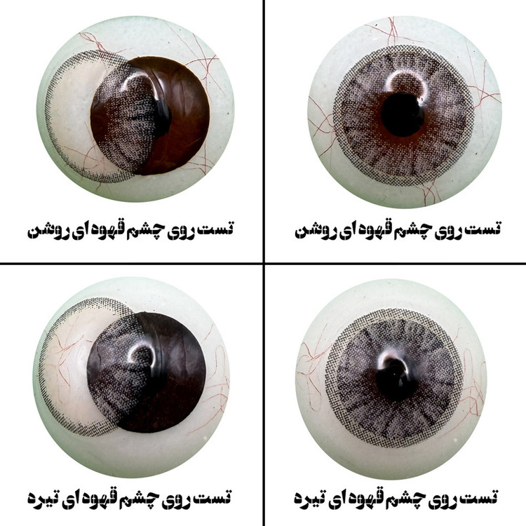 لنز چشم هرا مدل 16 سالانه کد NOB 290 رنگ طوسی عسلی رگه ای دوردار