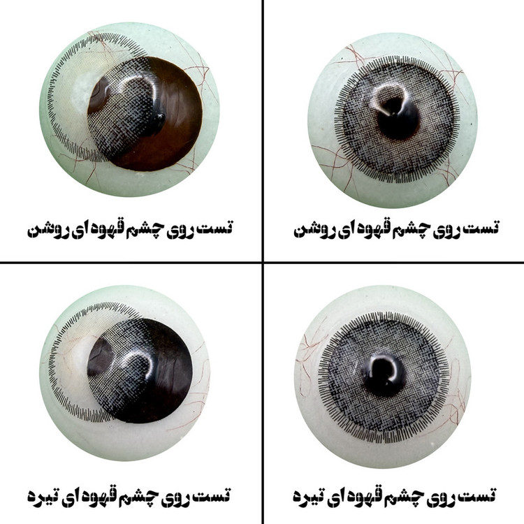 لنز چشم رویال ویژن مدل DREAM GR کد 02 رنگ طوسی طبیعی دوردار