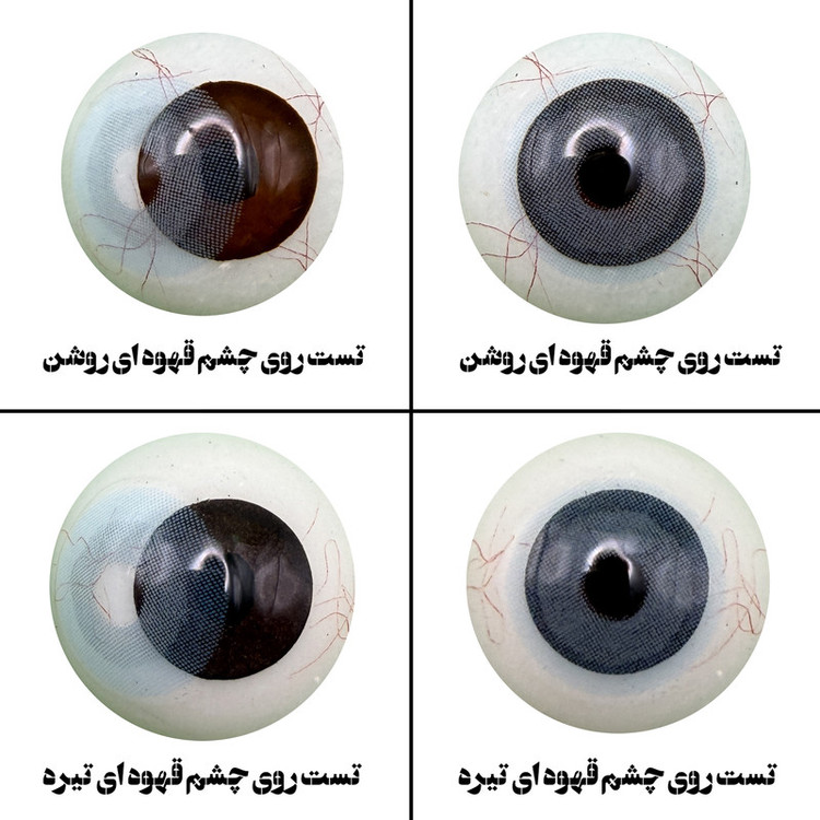 لنز چشم رویال ویژن مدل PIXY BL کد 40 رنگ آبی طبیعی بدون دور