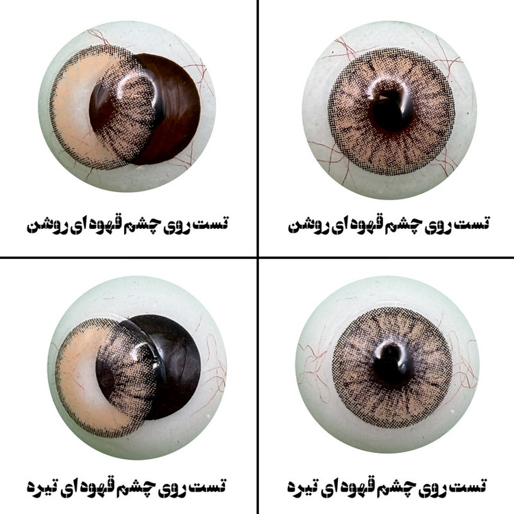 لنز چشم رویال ویژن مدل CAPPUCCINO کد 16 رنگ عسلی کاراملی دوردار