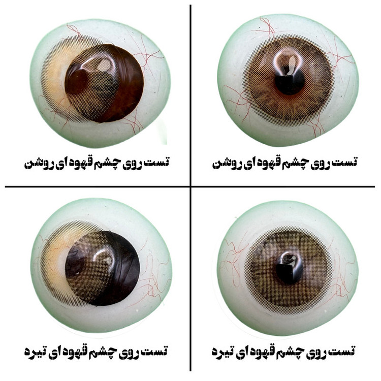 لنز چشم رز مدل CLARA HAZEL رنگ عسلی دوردار