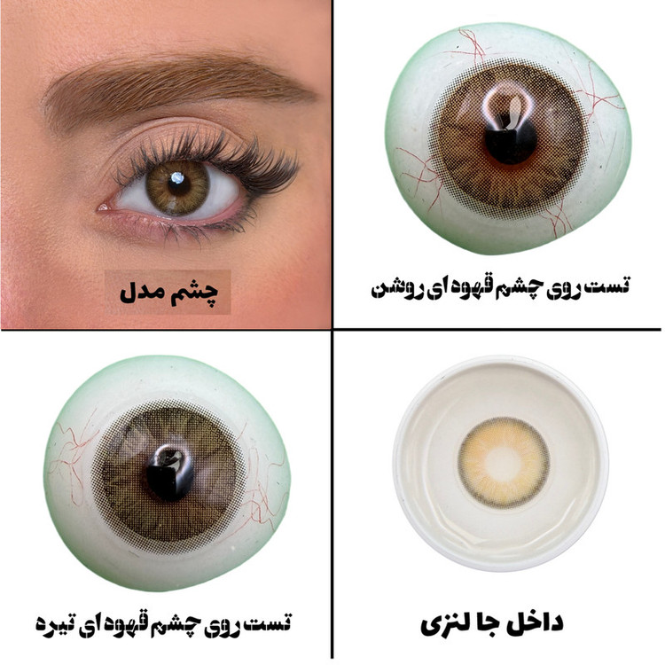 لنز چشم رز مدل CLARA HAZEL رنگ عسلی دوردار