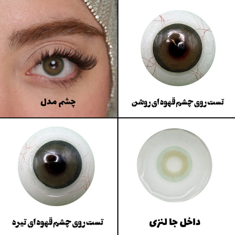 لنز چشم رویال ویژن مدل PIXY GRN کد 39 رنگ سبز طبیعی بدون دور