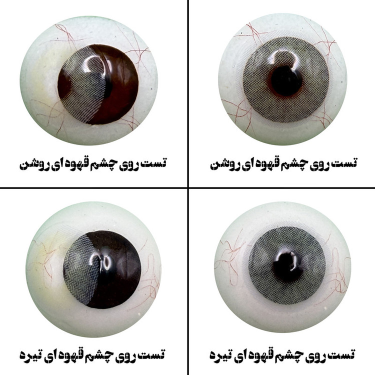 لنز چشم بیوتی مدل 09 کد SCA210 رنگ طوسی روشن بدون دور