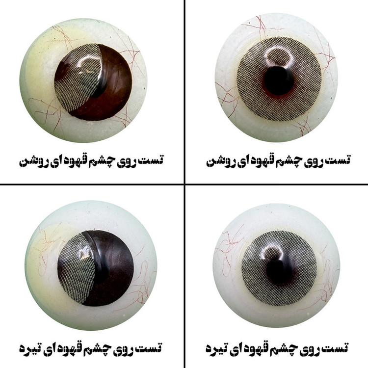 لنز چشم رویال ویژن مدل LEMONY کد 24 رنگ سبز لیمویی روشن بدون دور
