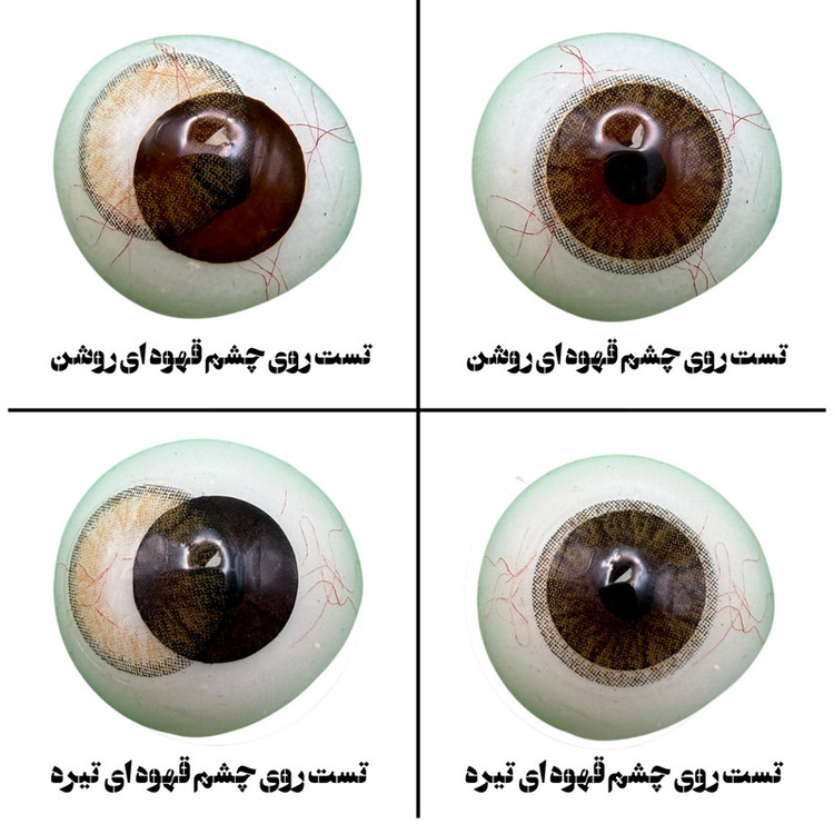 لنز چشم هرا گریس تمیم کانتکت لنز کد 15 رنگ قهوه ای طبیعی دوردار