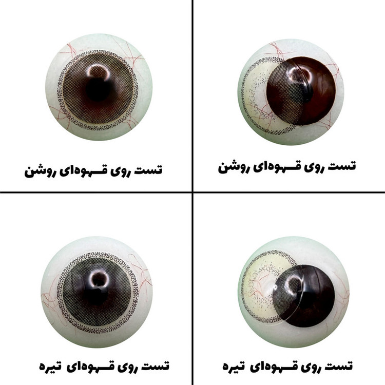 لنز چشم رویال ویژن مدل CITREOUS کد 23 رنگ میکس طوسی عسلی سبز دوردار