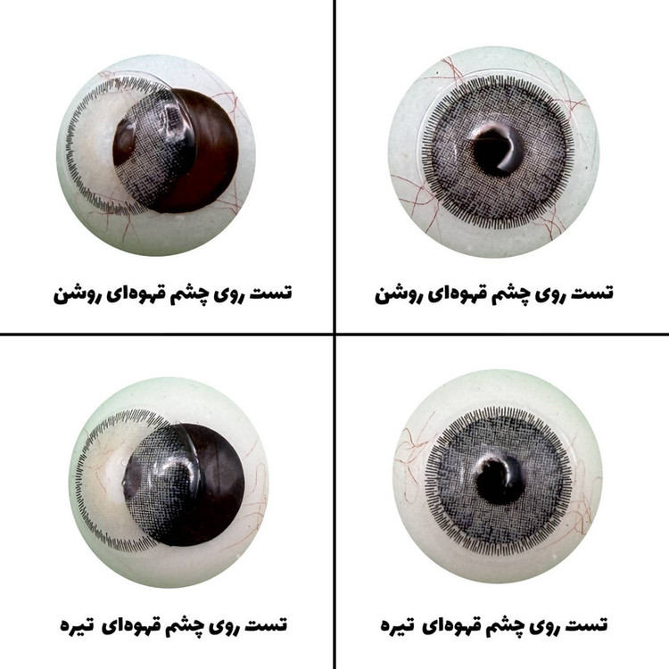 لنز چشم رویال ویژن مدل GRAYNESS کد 01 رنگ طوسی سبز طبیعی دور دار