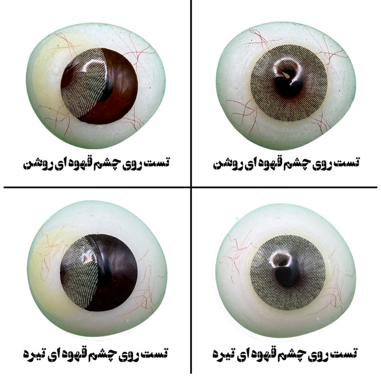 لنز چشم هرا گریس تمیم کانتکت لنز مدل CANARY کد 30 رنگ سبز عسلی بدون دور