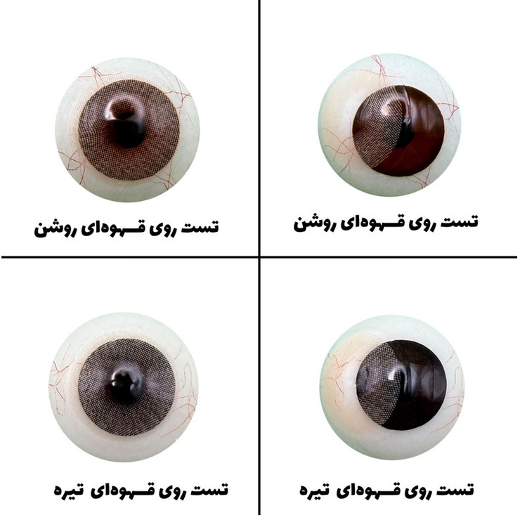لنز چشم رویال ویژن مدل MOCHA کد 14 رنگ قهوه ای روشن بدون دور