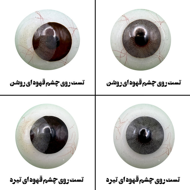 لنز چشم رویال ویژن مدل VEGAS PEARL کد07 رنگ طوسی روشن بدون دور