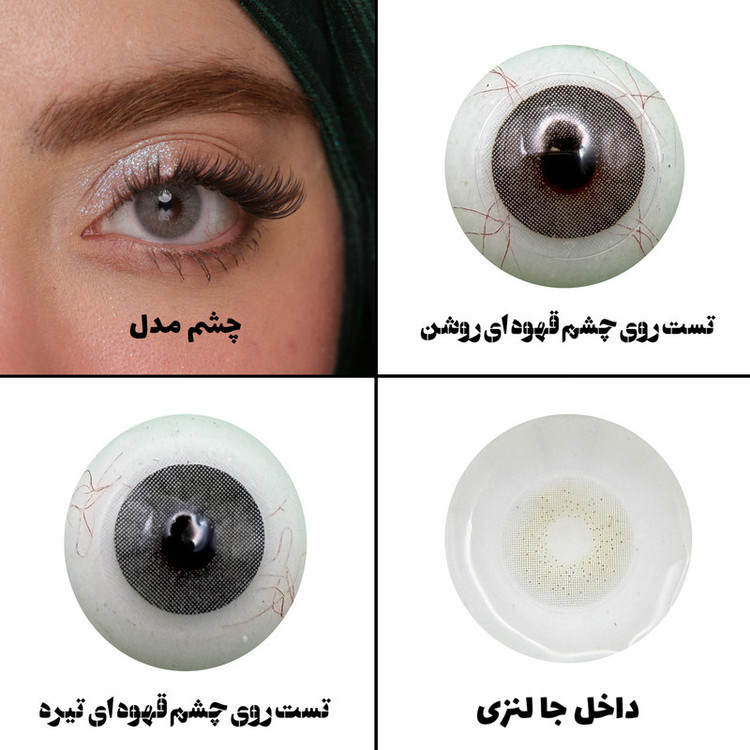 لنز چشم رویال ویژن مدل VEGAS PEARL کد07 رنگ طوسی روشن بدون دور