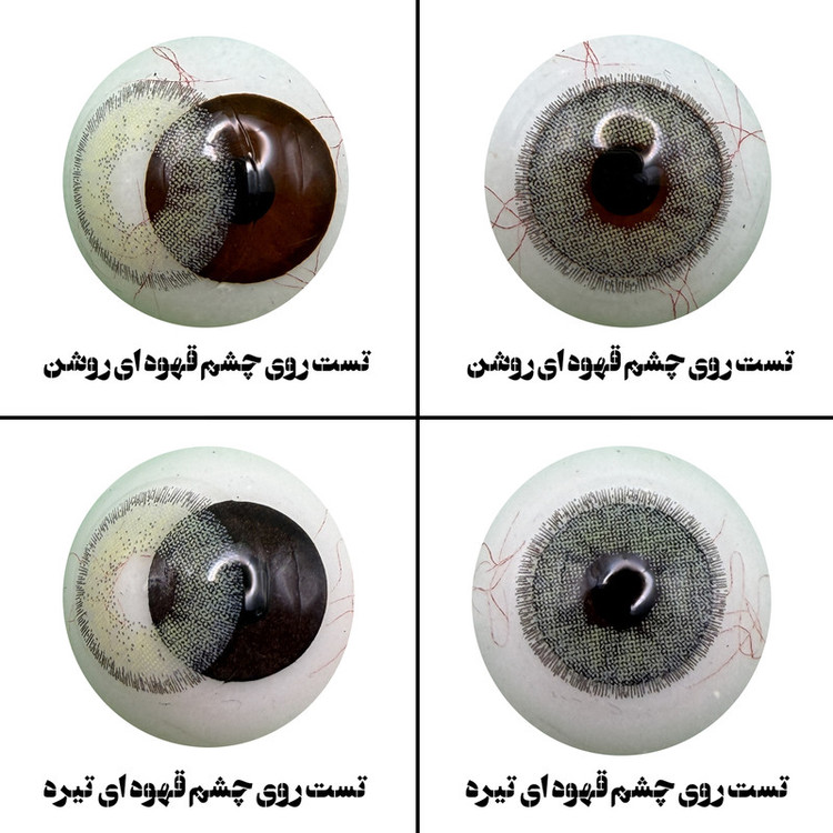 لنز چشم هرا مدل 12 فصلی کد SDA310 رنگ سبز عسلی دور دار