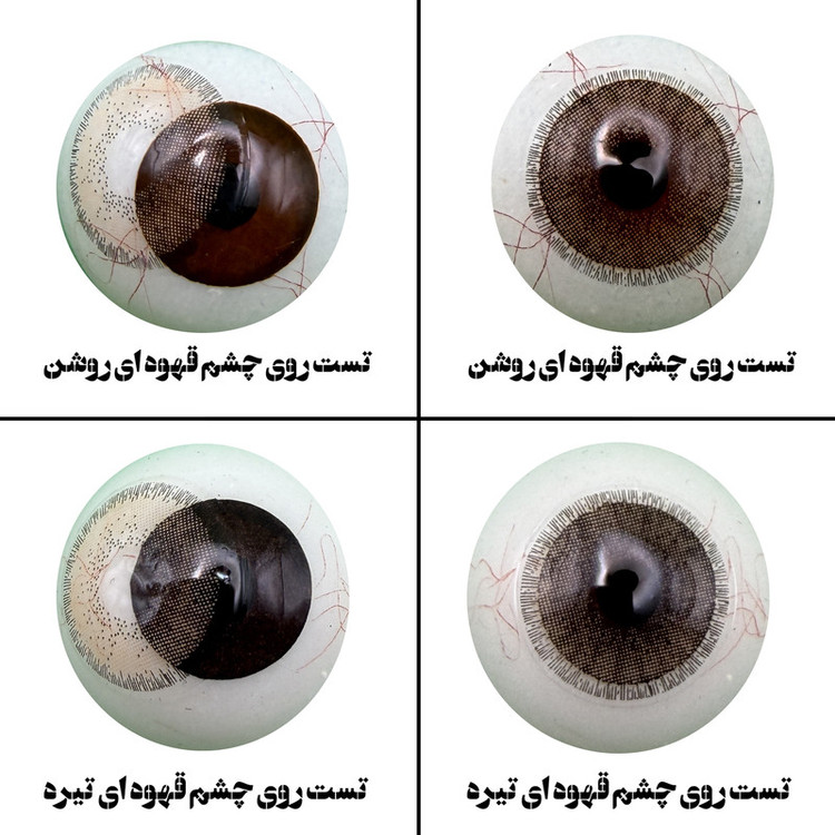 لنز چشم هرا مدل 17 فصلی کد ACJA220 رنگ قهوه ای طبیعی دوردار
