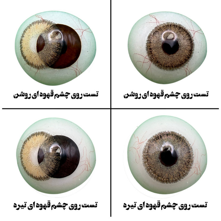 لنز چشم بیوتی مدل 19 کد RZA320 رنگ عسلی دوردار