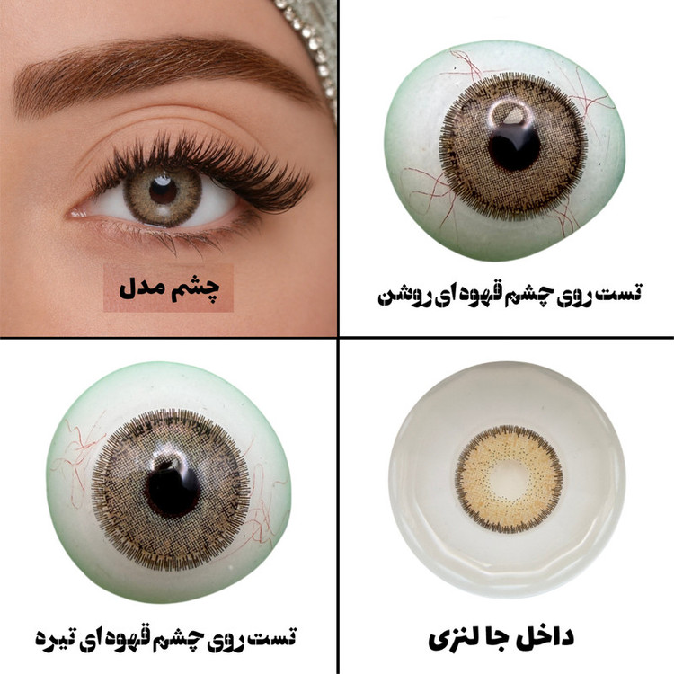 لنز چشم بیوتی مدل 19 کد RZA320 رنگ عسلی دوردار