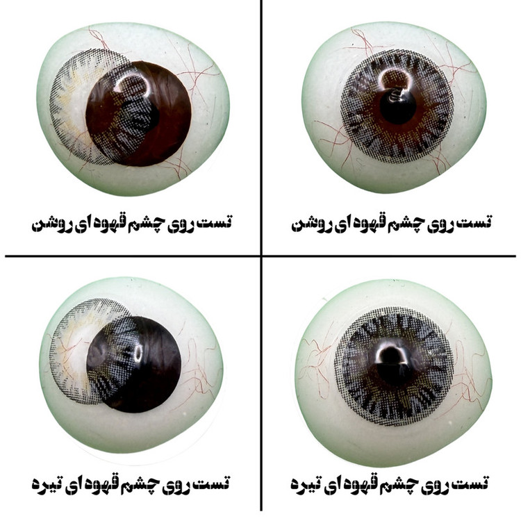 لنز چشم بیوتی مدل 12 کد BOA311 رنگ طوسی عسلی دوردار