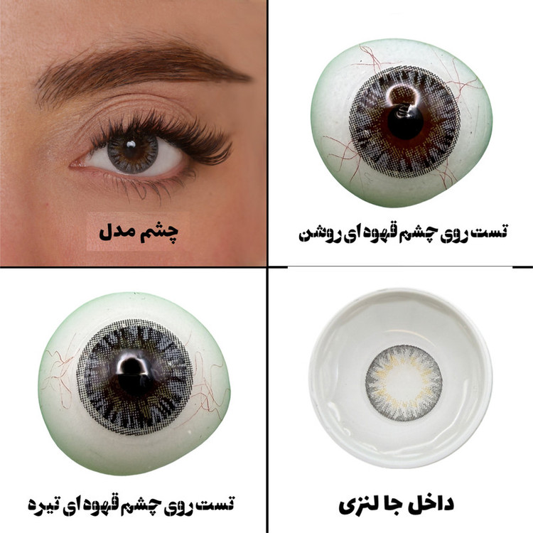 لنز چشم بیوتی مدل 12 کد BOA311 رنگ طوسی عسلی دوردار
