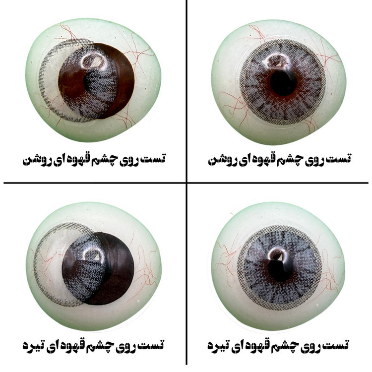لنز چشم بیوتی مدل 06 کد NOB210 رنگ طوسی دوردار