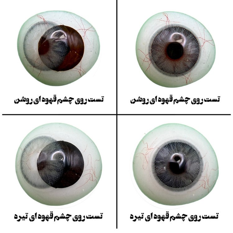 لنز چشم رز مدل CLARA رنگ طوسی دوردار