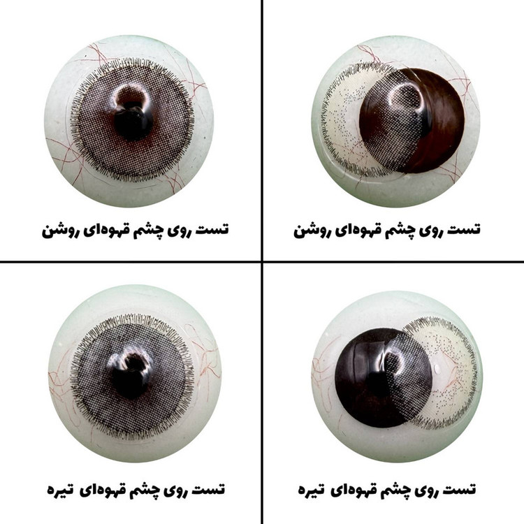 لنز چشم بیوتی مدل 17 کد ACFA220 رنگ طوسی طبیعی دوردار