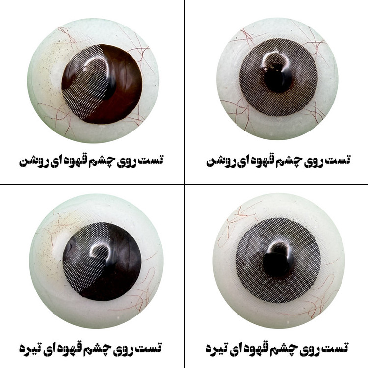 لنز چشم هرا مدل 11 فصلی کد ACPA310 رنگ طوسی سبز بدون دور