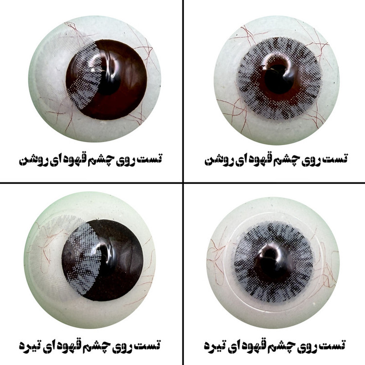 لنز چشم هرا مدل 03 فصلی کد HC110 رنگ طوسی روشن بدون دور