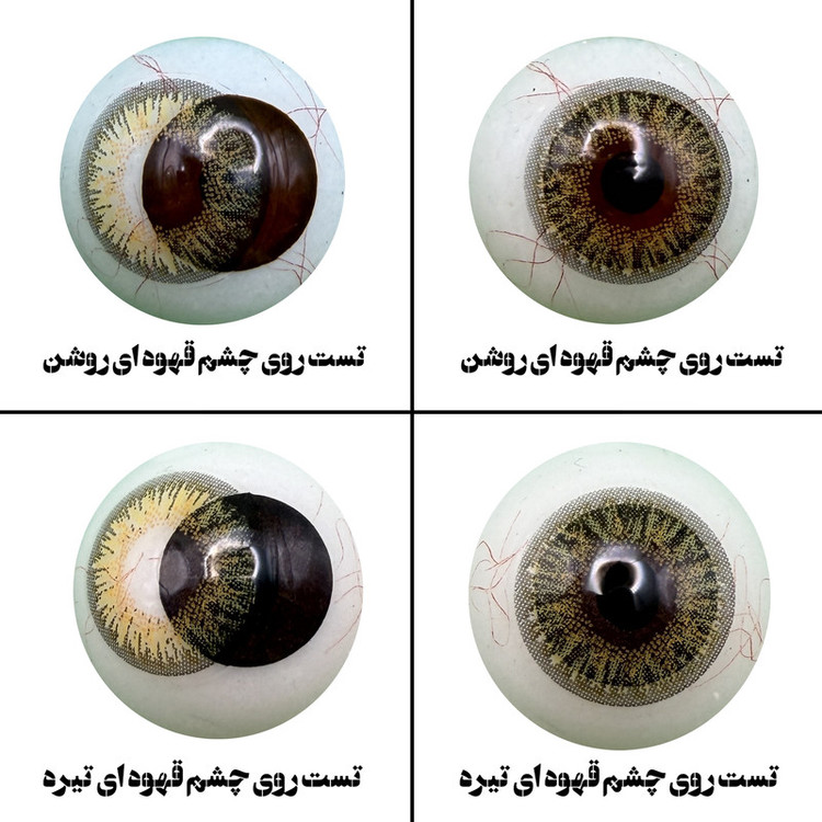 لنز چشم هرا مدل 18 فصلی کد FA320 رنگ سبز عسلی تیره دوردار