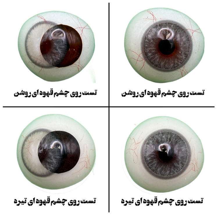 لنز چشم برند رز مدل CHARSY رنگ طوسی رگه ای دوردار