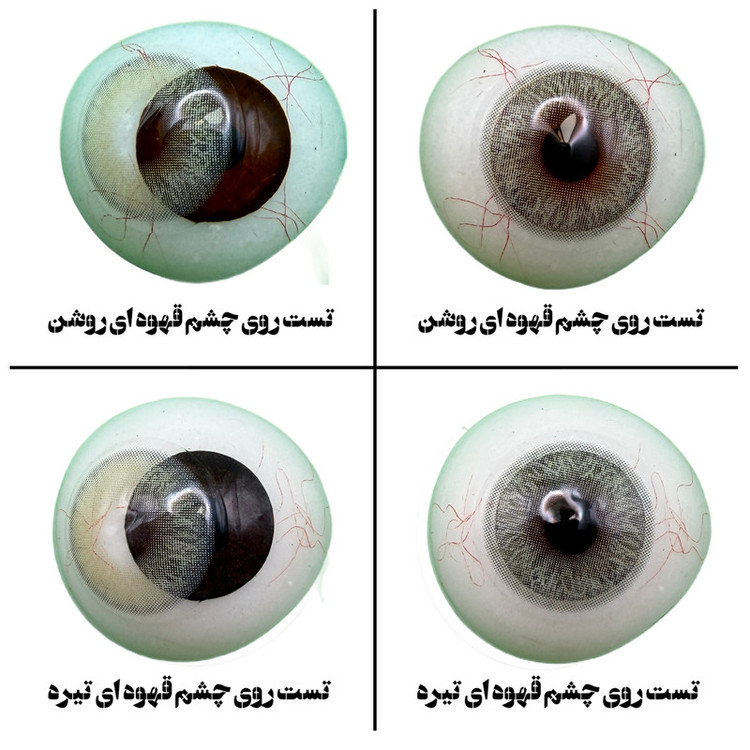 لنز چشم رز مدل LILY رنگ سبزعسلی روشن با دور محو
