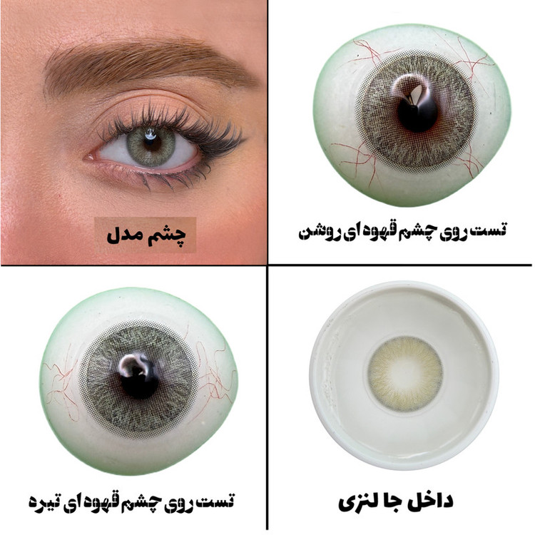 لنز چشم رز مدل LILY رنگ سبزعسلی روشن با دور محو