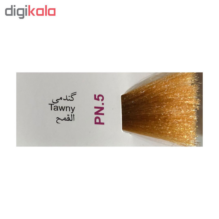 رنگ مو پادینا شماره PN-5 حجم 100 میلی لیتر رنگ گندمی