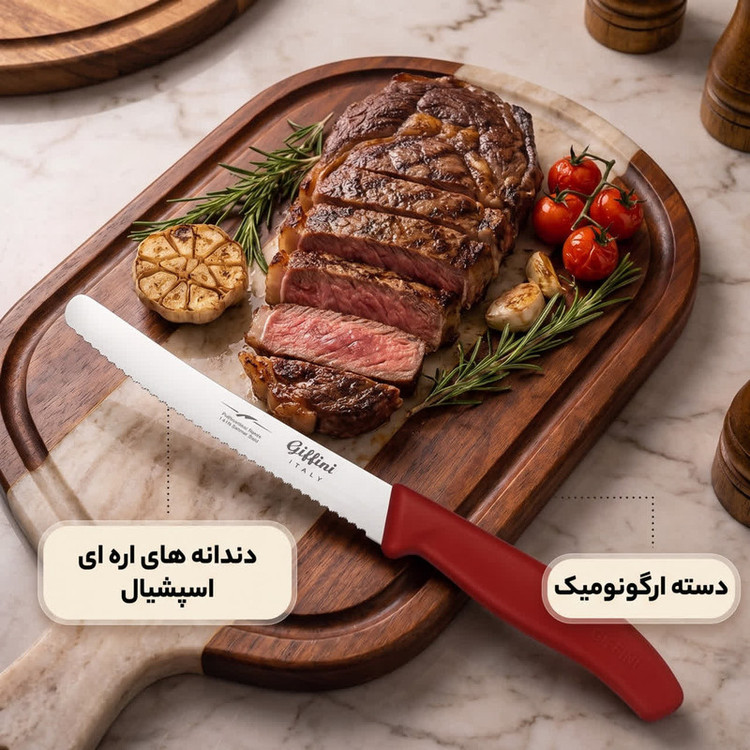 چاقو آشپزخانه جی فی نی مدل M110 مجموعه 2 عددی