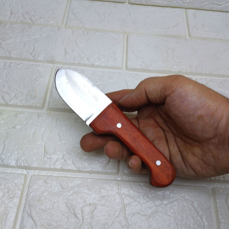 چاقو آشپزخانه مدل پوست کنی کد STN014791