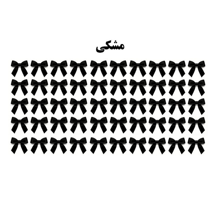ابزار کادویی مدل پاپیون بسته 50 عددی
